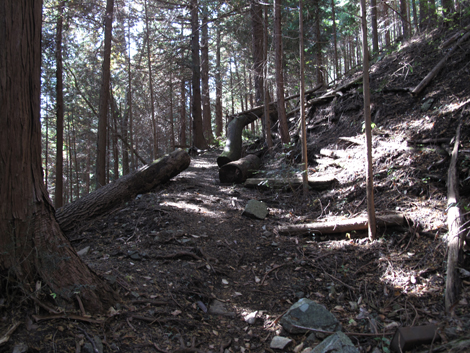 20161117hike (35)